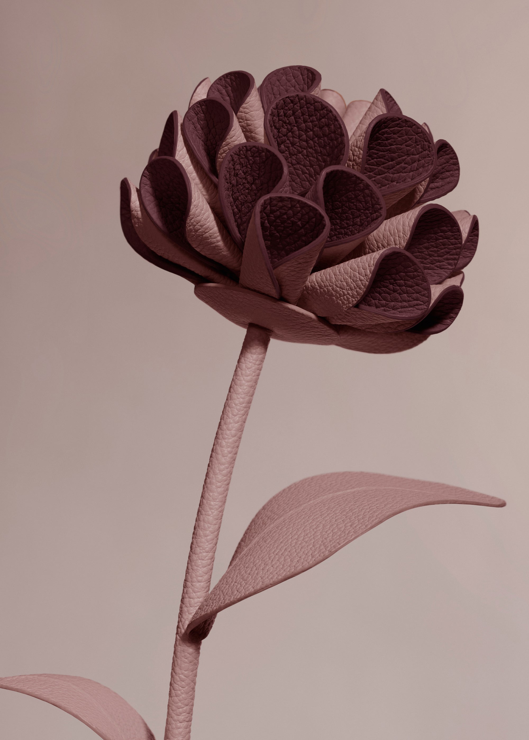 Leather flowers – Polène US