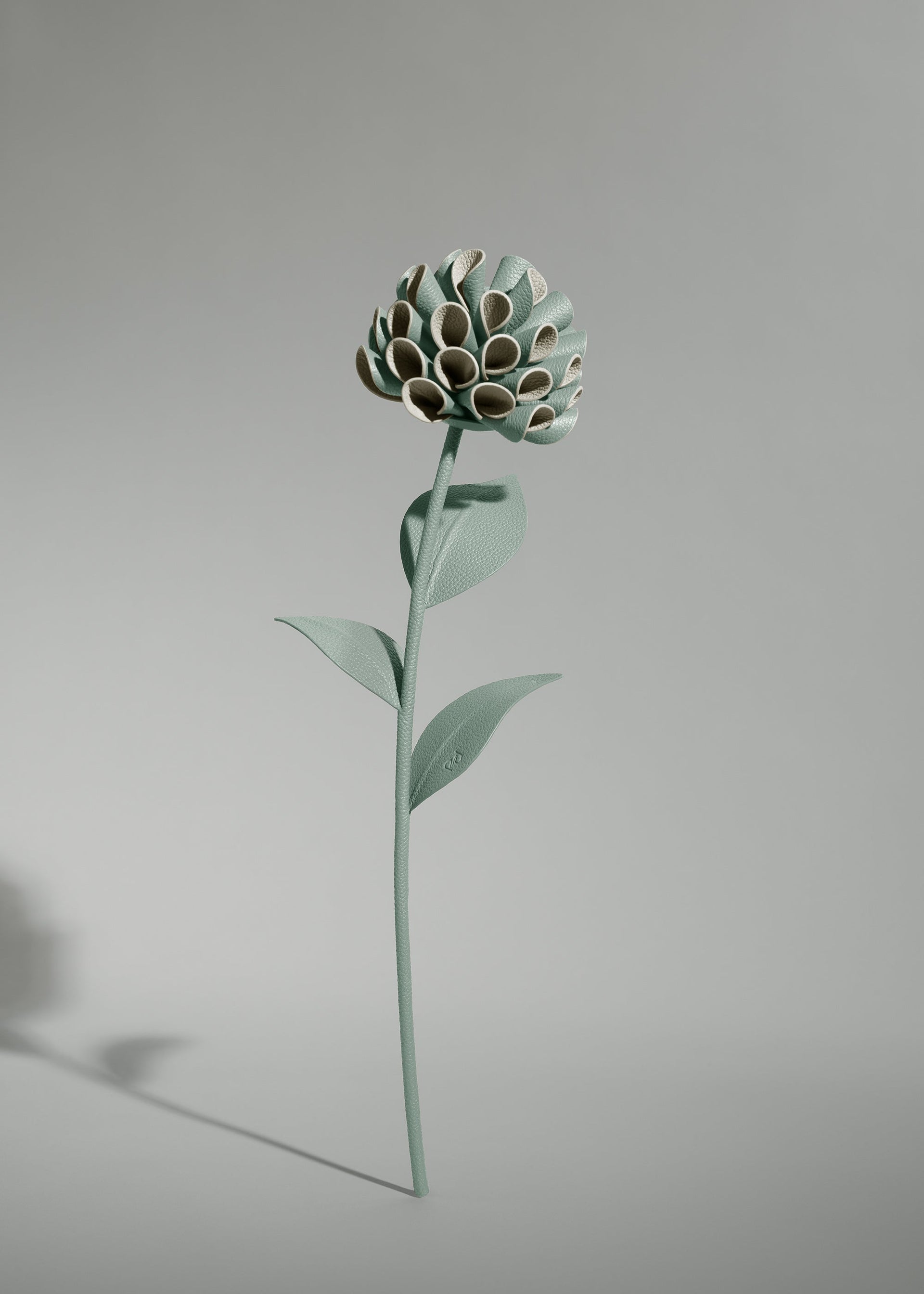 Dalium Flower - Fresh Almond