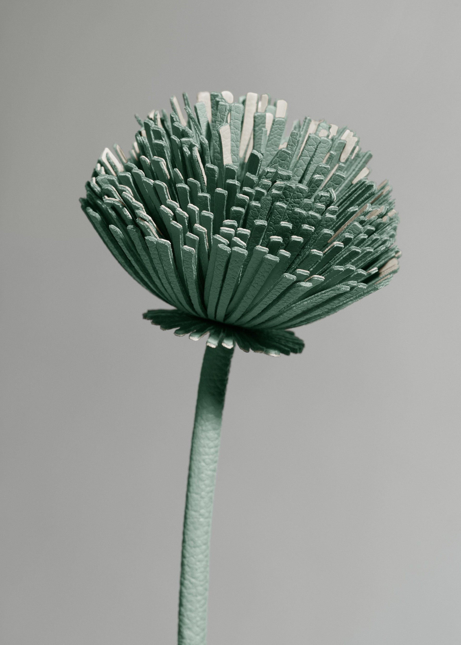 Tul Flower - Fresh Almond