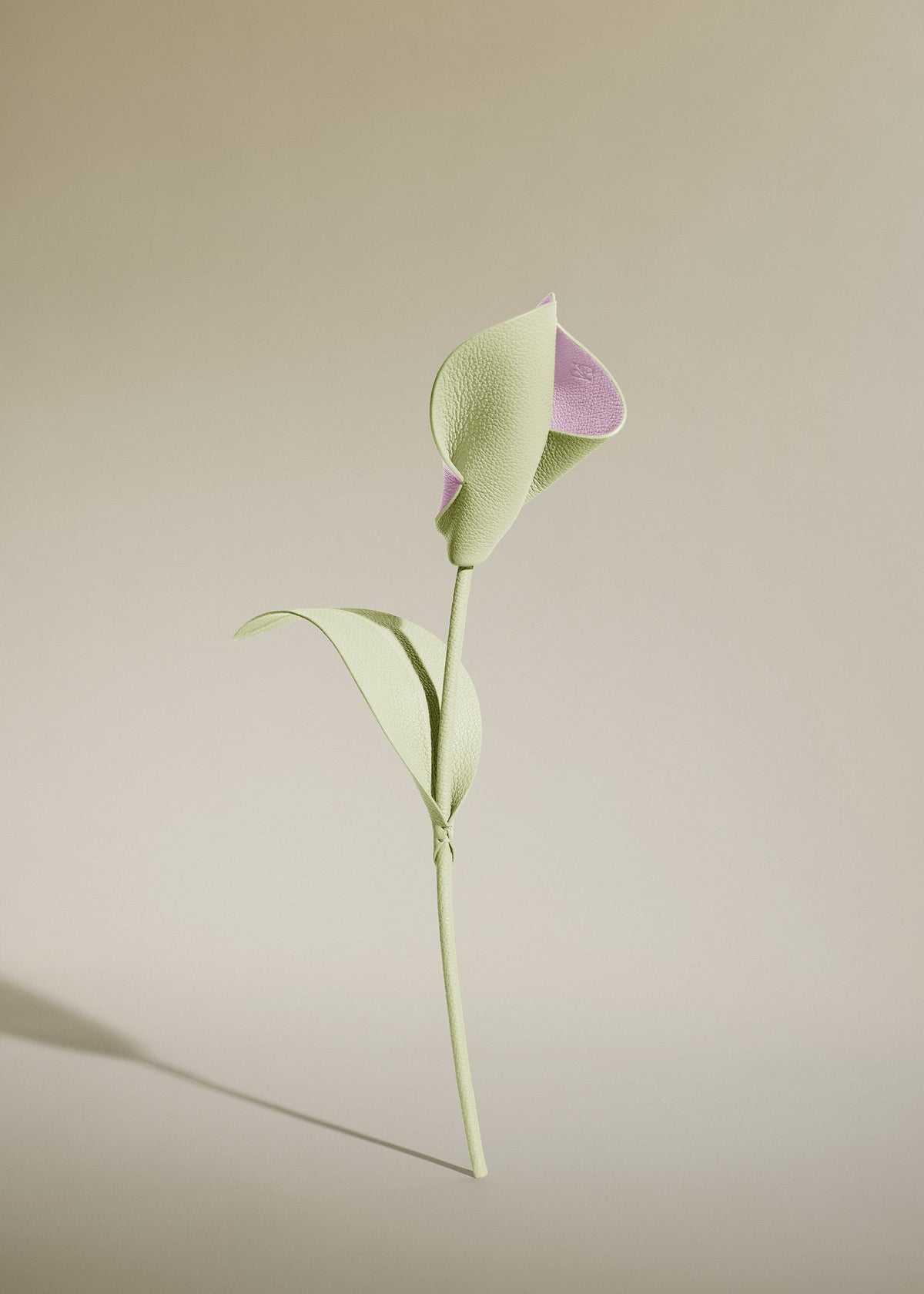 Pili Flower - Aloe