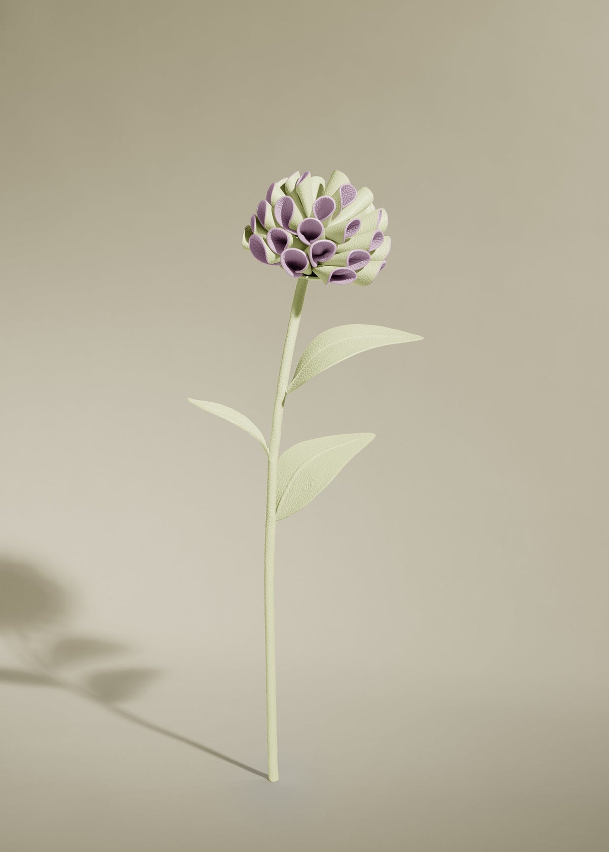 Dalium Flower - Aloe