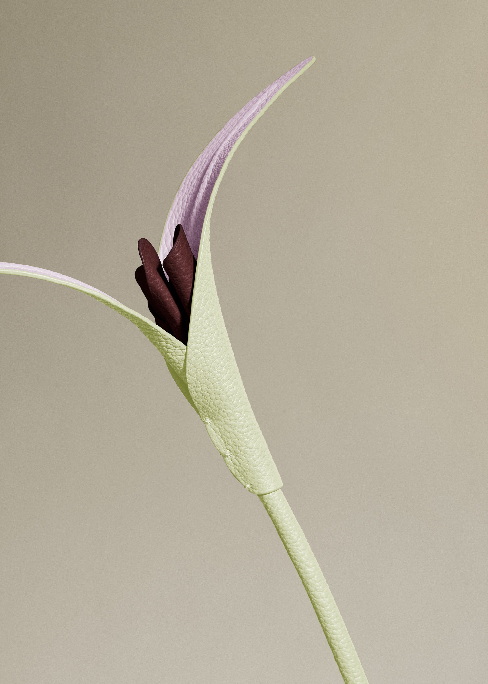 Polène | Flower - Touka - Aloe – Polène US